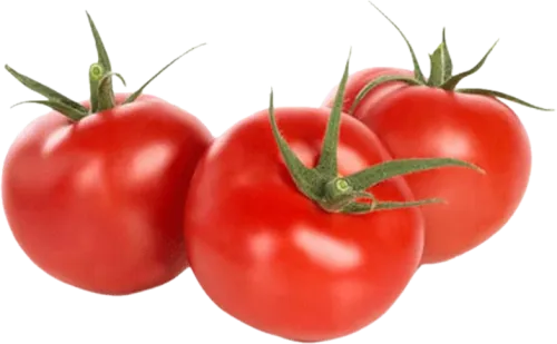 Muço Pomidor