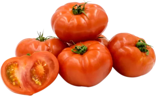 Shamkir Tomato