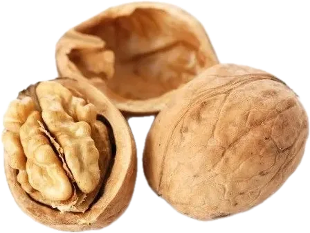 Qabıqlı qoz