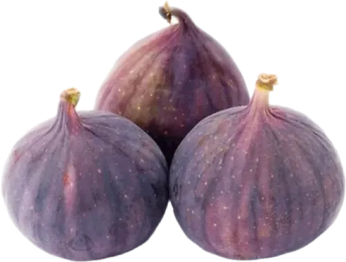 Qara Əncir