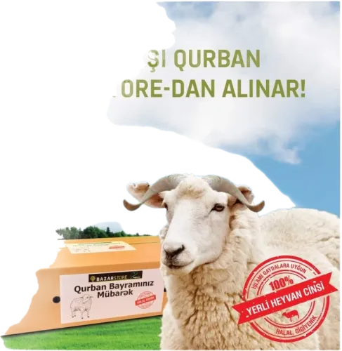 Qurban Kolisi