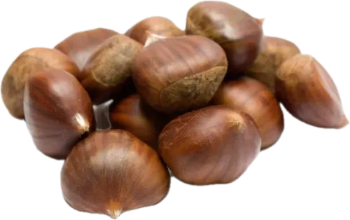 Şabalid
