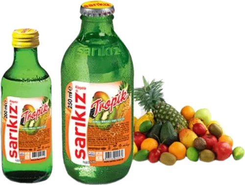 Tropik Mineral Su