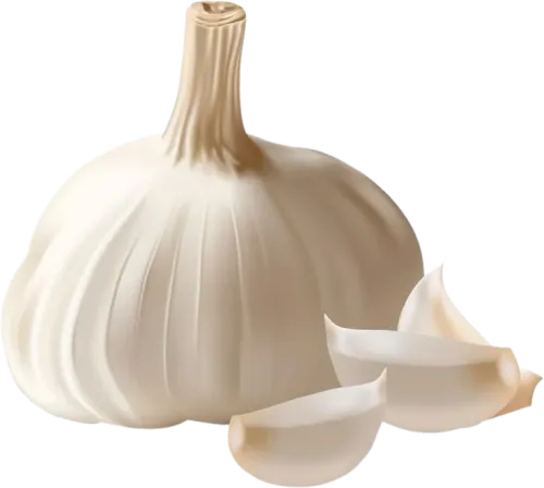 Sarımsaq