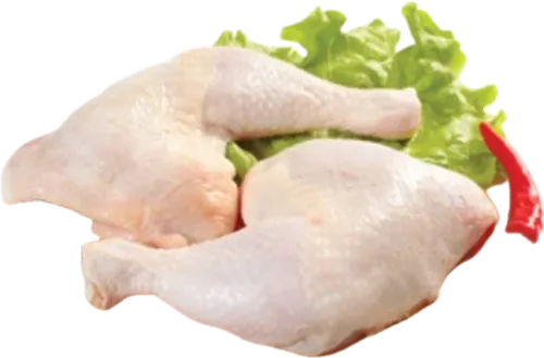 Təzə Bütöv Bud
