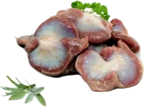 Təzə Pətənək
