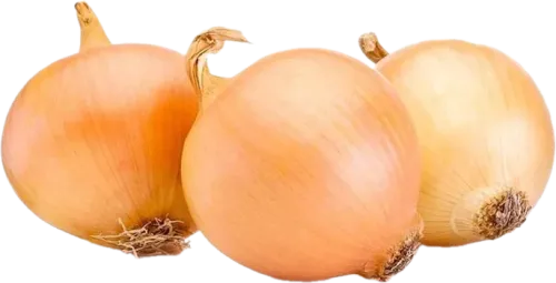 Onion