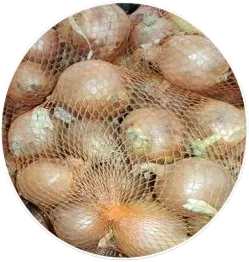 Local Onion