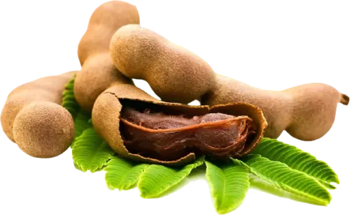Tamarind