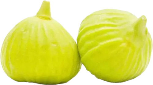 Təzə Əncir