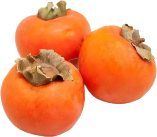 Xurma