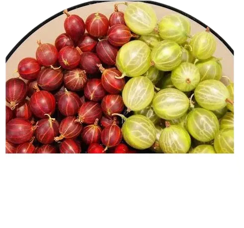 Yemiş