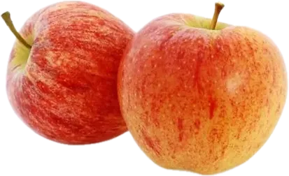 Yerli Fuji alması