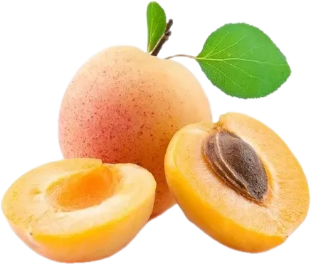 Local Apricot