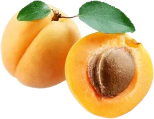Alyanaq Plum