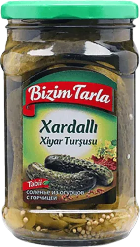 Xardallı xiyar turşusu