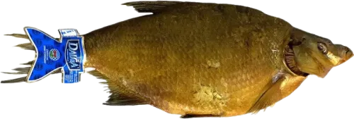 Smoked Hake Fillet Vacuum Packed