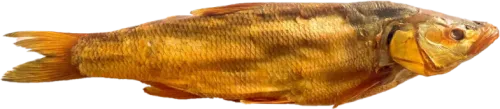 Xəşəm tikəsi s/h vakuum