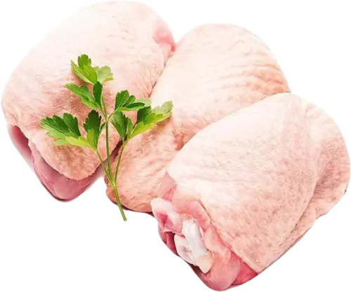 Təzə Toyuq Bud Dibini