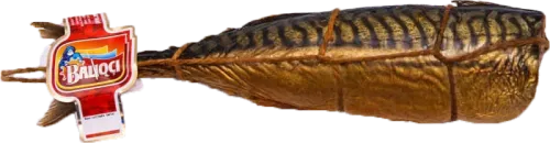 Skumbriya Filatası