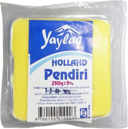 Holland pendiri