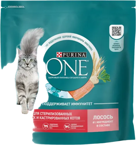 One Корм для кошек с золотой рыбкой