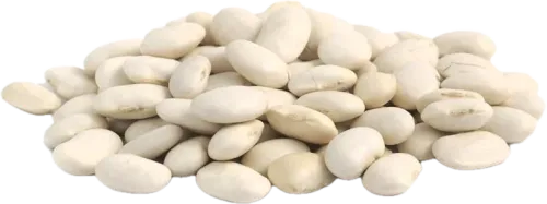Ağ Lobya
