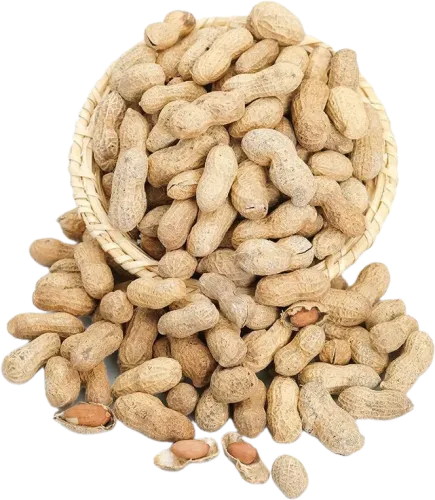 Qovrulmuş Fıstıq