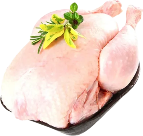 Fresh Chicken