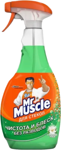 Glass Cleaner