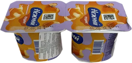 Caramel Pudding