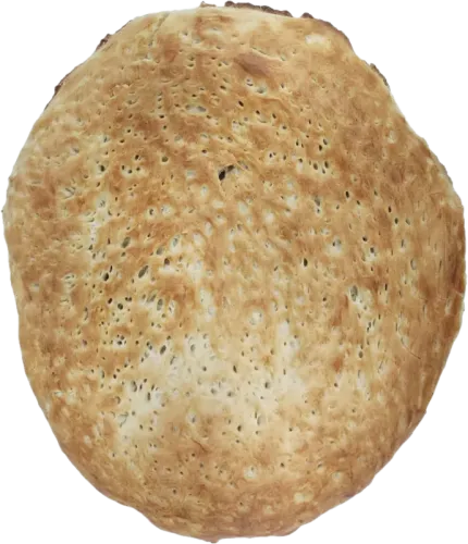 Tandoor Hearth Bread