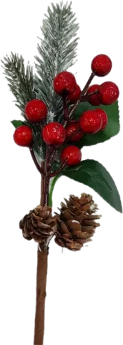 Dried Fruit Decor