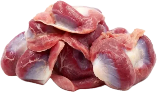 Təzə Pətənək