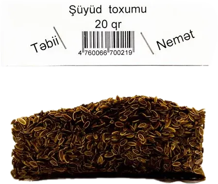 Şüyüd toxumu