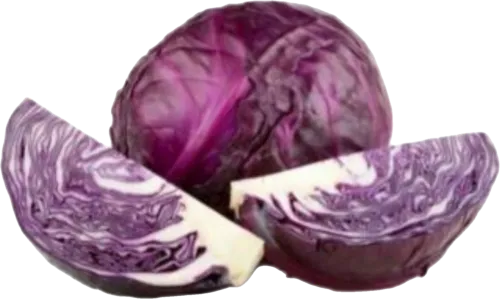 Qırmızı kələm