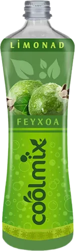 Feyxoa limonadı 
