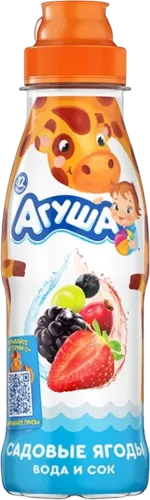Meyvə şirəsi giləmeyvə ilə 