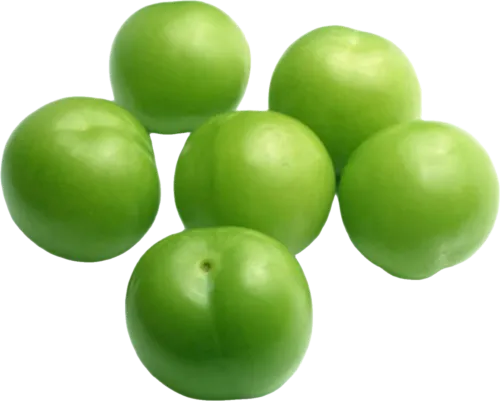 Göyçə Super Plum