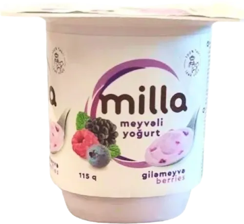  Fruity Yogurt