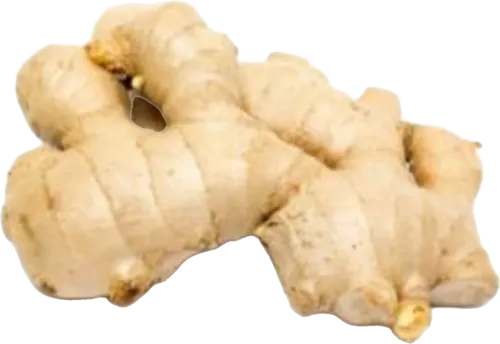 Zəncəfil