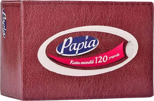 Gigiyenik salfetlər İki qatlı