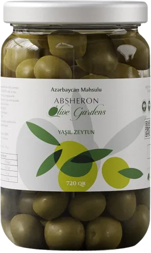  Green Olive