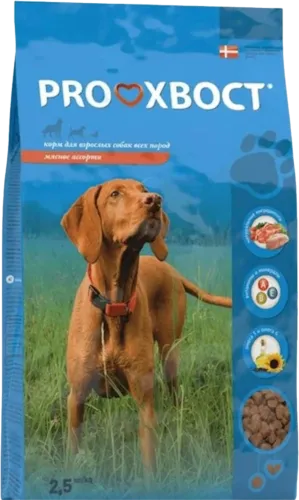Quru yem itlər üçün ət assorti