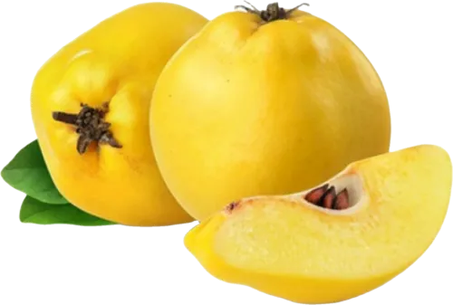 Quince