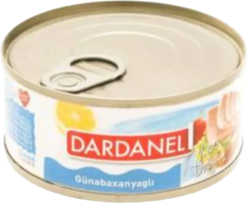 Ton balığı 