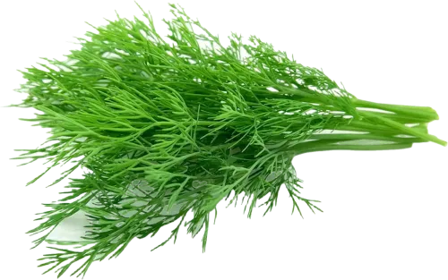 Şüyüd dəstə