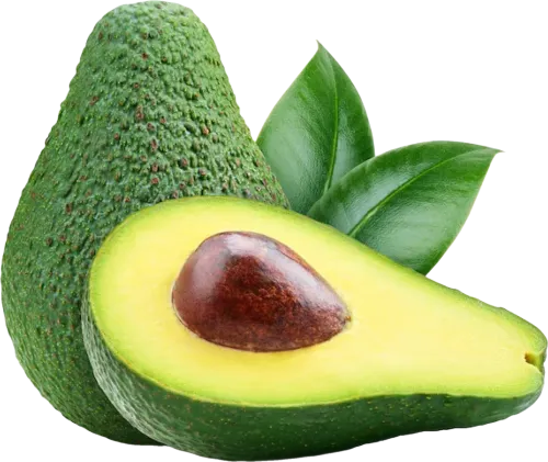 Avokado
