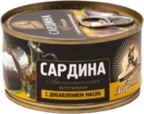 Atlantik sardina yağda