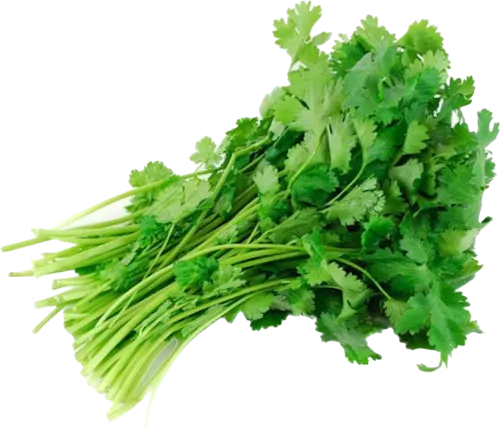 Keşniş dəstə